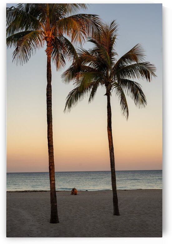 Sunset Hollywood Beach by PopArtApparel
